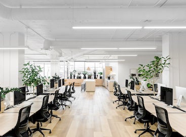 Sunlit interior of the Artifact Uprising office