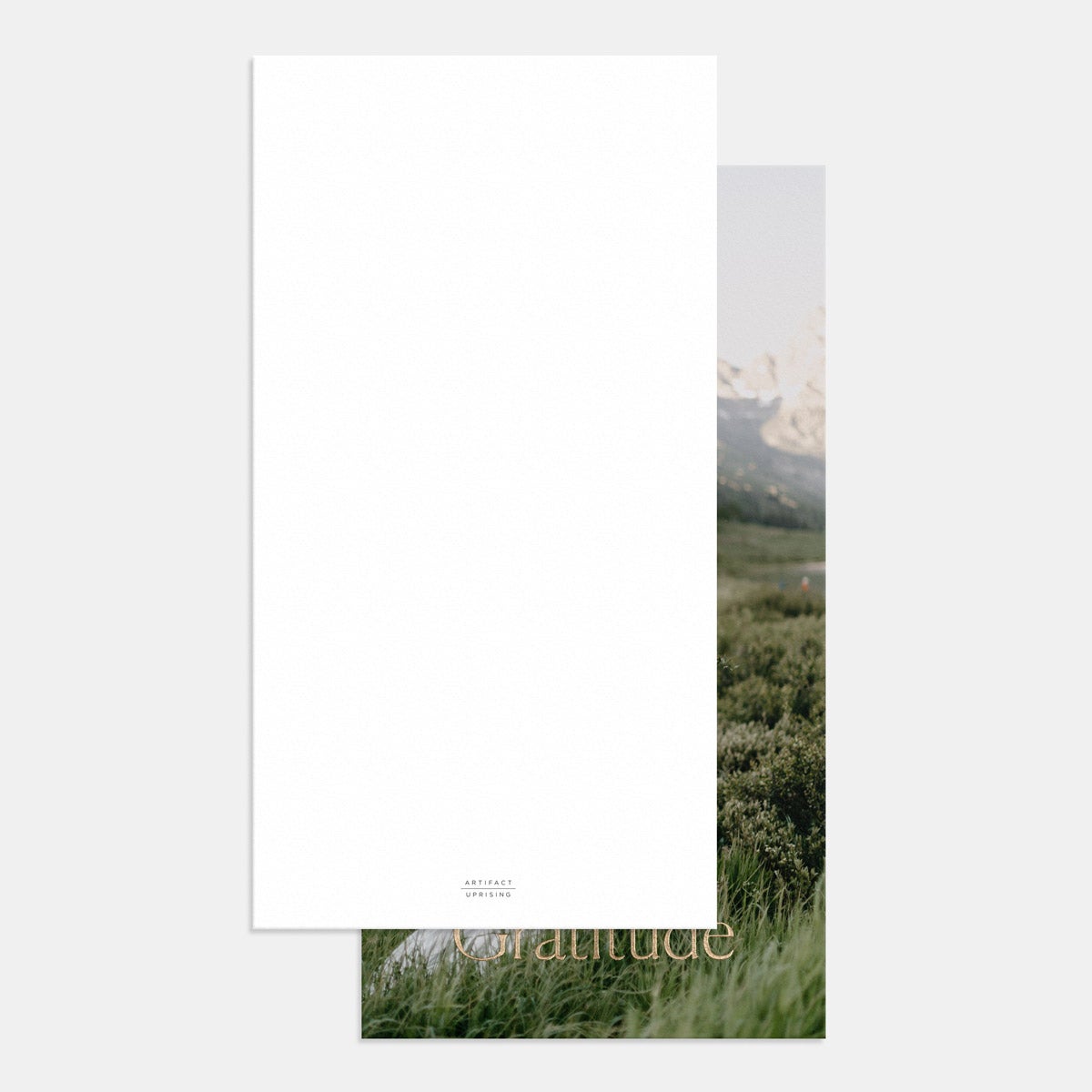 Simple Serif Thank You Card by Artifact Uprising | Cards